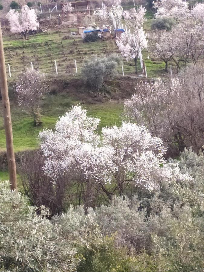 Sirince Katina Boutique Otel מראה חיצוני תמונה